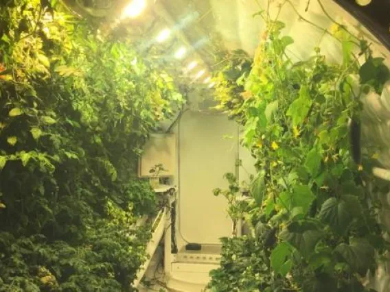 Mars-Lunar Greenhouse