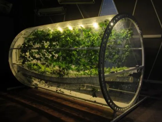 Mars-Lunar Greenhouse