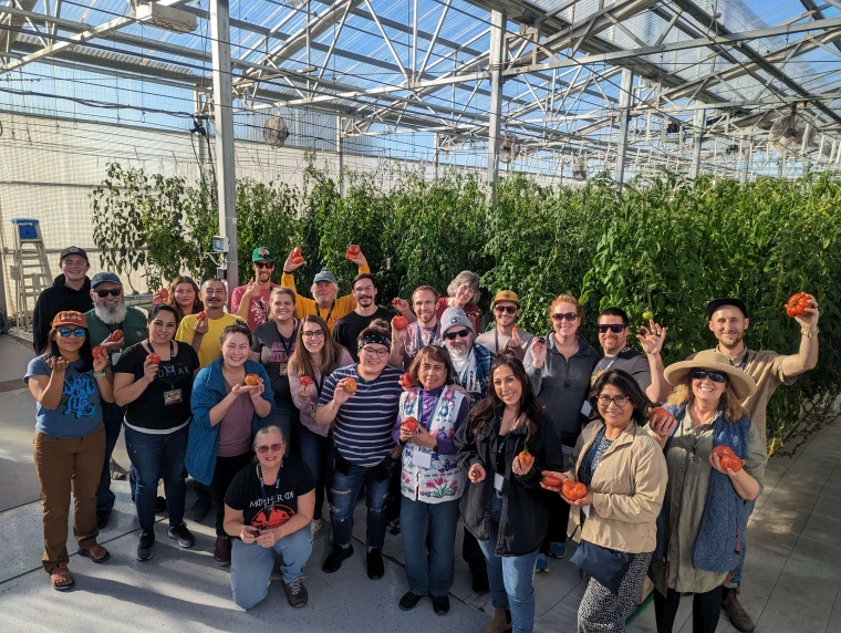 Greenhouse Hydroponic Tomato Workshop