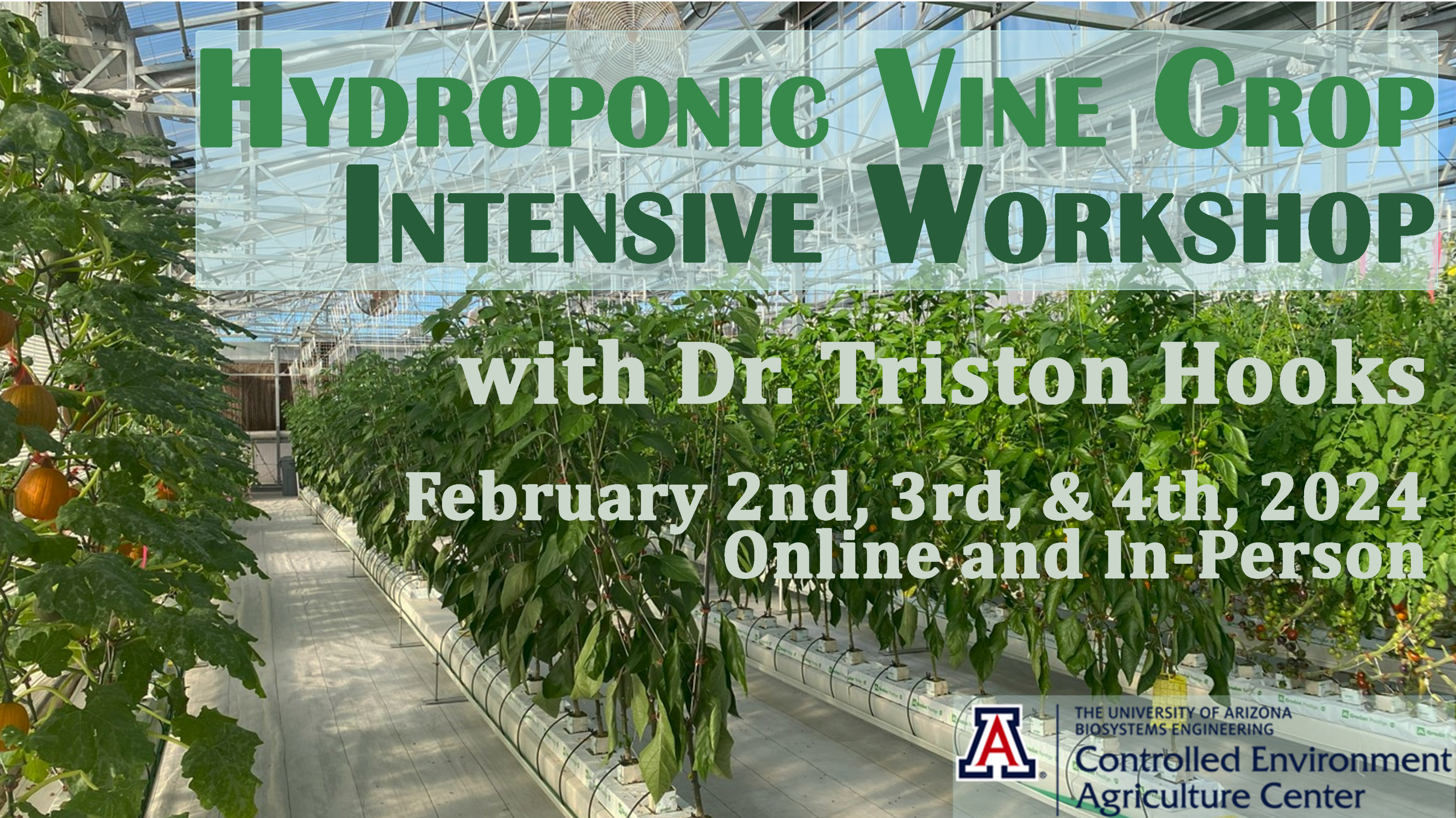2024 Hydroponic Vine Crop Intensive Workshop 